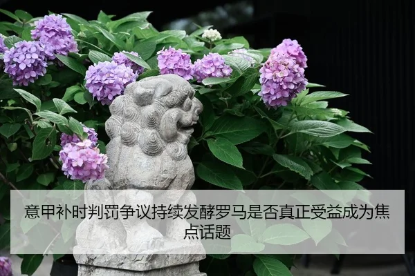 yi-jia-bu-shi-pan-fa-zheng-yi-chi-xu-fa-jiao-luo-ma-shi-fou-zhen-zheng-shou-yi-cheng-wei-jiao-dian-hua-ti-1-151.jpg